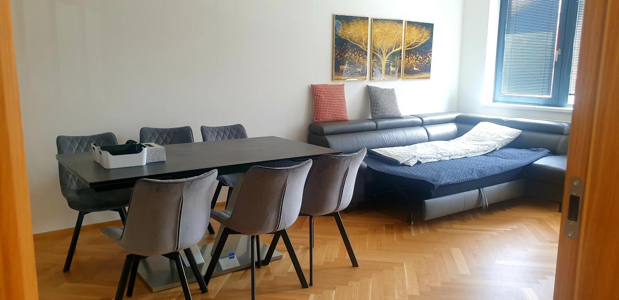 Appartement Smichov *